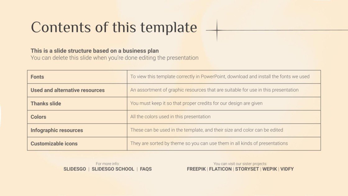 Laundry Business Plan Google Slides PowerPoint Template