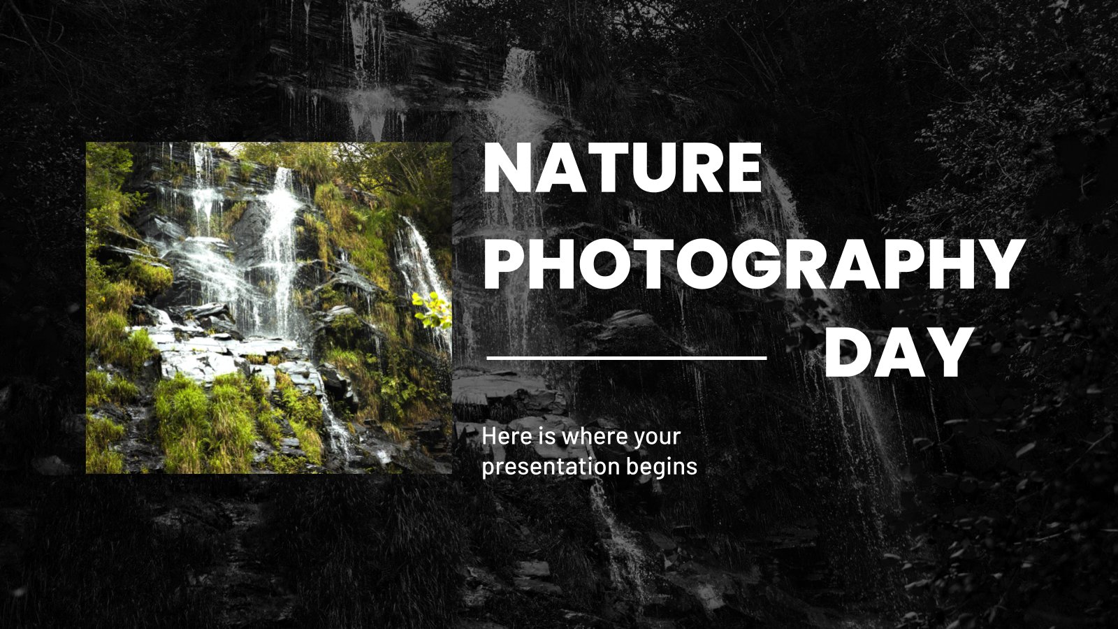 Nature Photography Day presentation template 