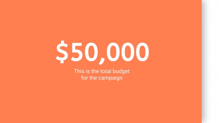 Vinini Campaign presentation template