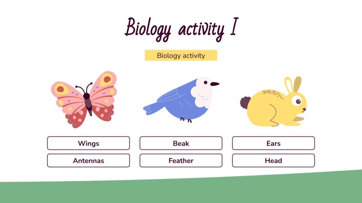 Classe de printemps : Activités pour les enfants Modèles de présentation