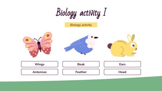 Classe de printemps : Activités pour les enfants Modèles de présentation