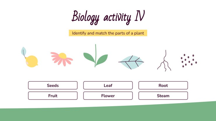Classe de printemps : Activités pour les enfants Modèles de présentation