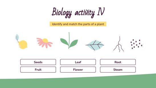 Classe de printemps : Activités pour les enfants Modèles de présentation
