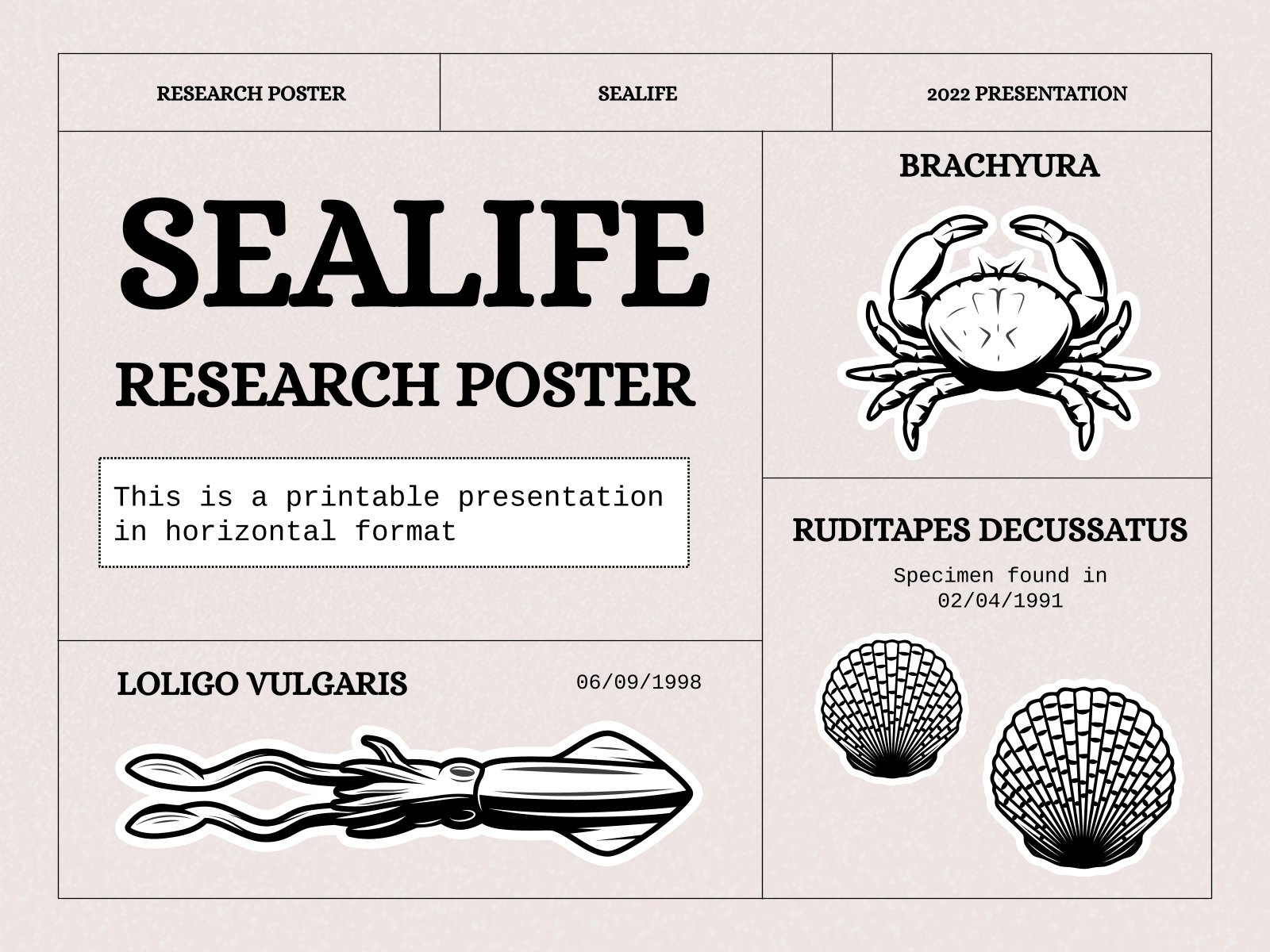 Poster scientifique : animaux marins Modèles de présentation