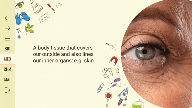 Sciences jeopardy lesson | Google Slides & PPT theme