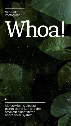 National Photograph Month in USA presentation template 