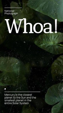 National Photograph Month in USA presentation template 