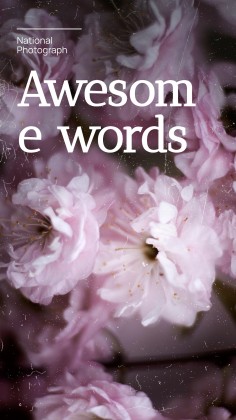 National Photograph Month in USA presentation template 