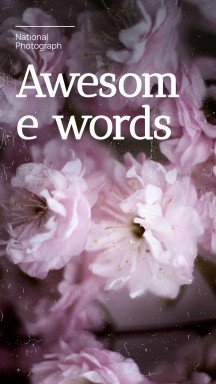 National Photograph Month in USA presentation template 