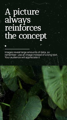 National Photograph Month in USA presentation template 