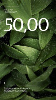 National Photograph Month in USA presentation template 