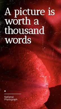 National Photograph Month in USA presentation template 