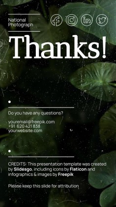 National Photograph Month in USA presentation template 