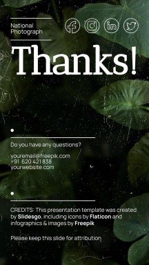 National Photograph Month in USA presentation template 