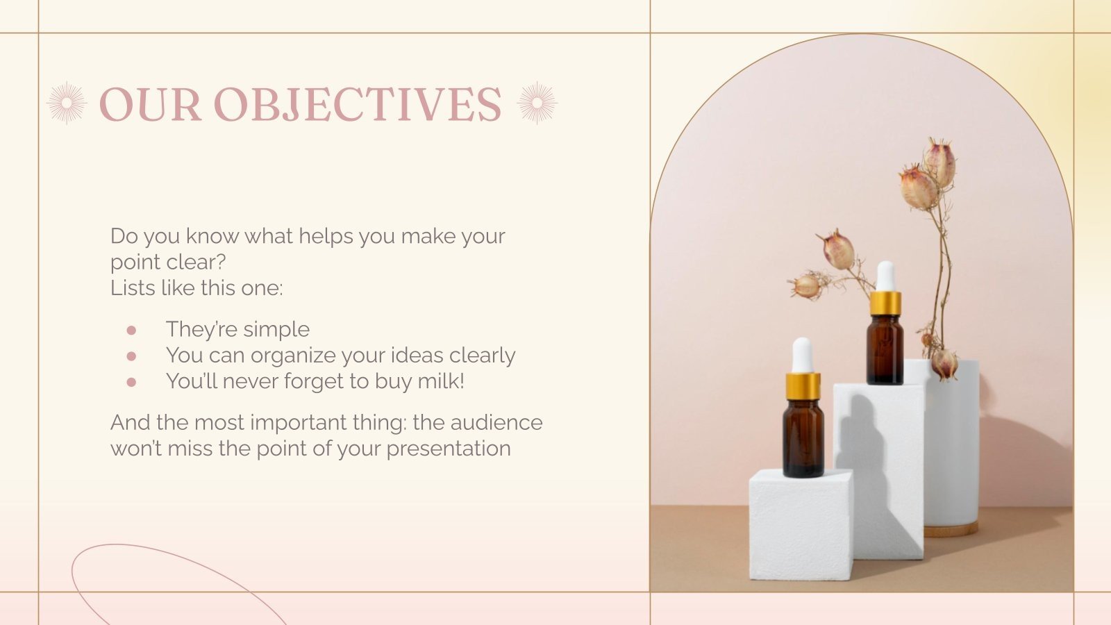 Skin Care Products Brand Business Plan Google Slides & PPT