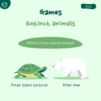 세계 환경의 날 프레젠테이션 템플릿