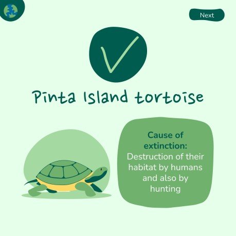 세계 환경의 날 프레젠테이션 템플릿