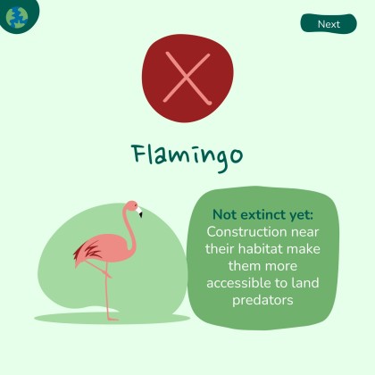 세계 환경의 날 프레젠테이션 템플릿