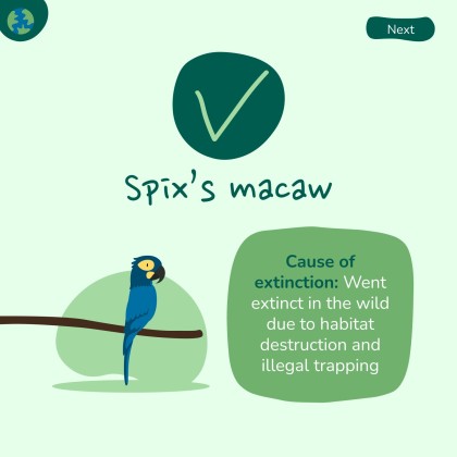 세계 환경의 날 프레젠테이션 템플릿