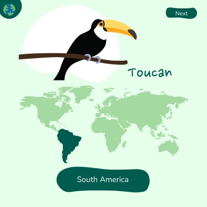 세계 환경의 날 프레젠테이션 템플릿