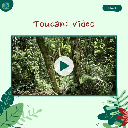 세계 환경의 날 프레젠테이션 템플릿