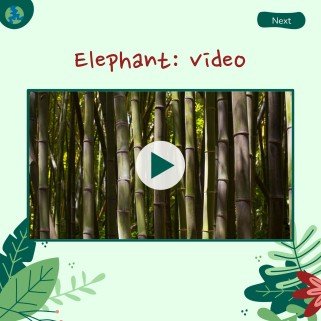 세계 환경의 날 프레젠테이션 템플릿