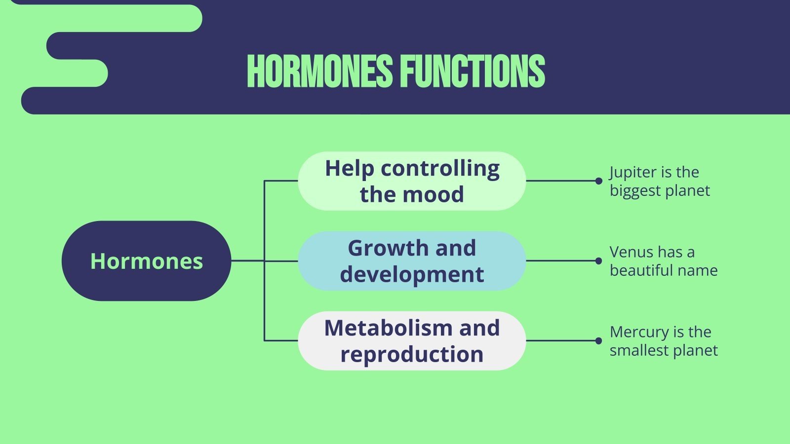 Hormones & Endocrine Glands Lesson Google Slides & PPT