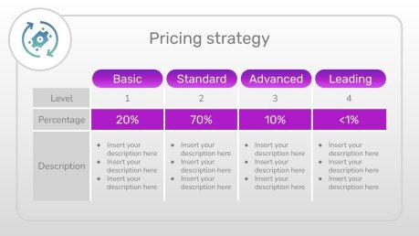 Efficiency Consulting Toolkit presentation template 