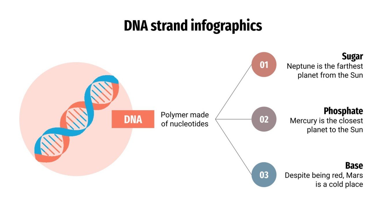 DNA Strand Infographics Google Slides & PowerPoint