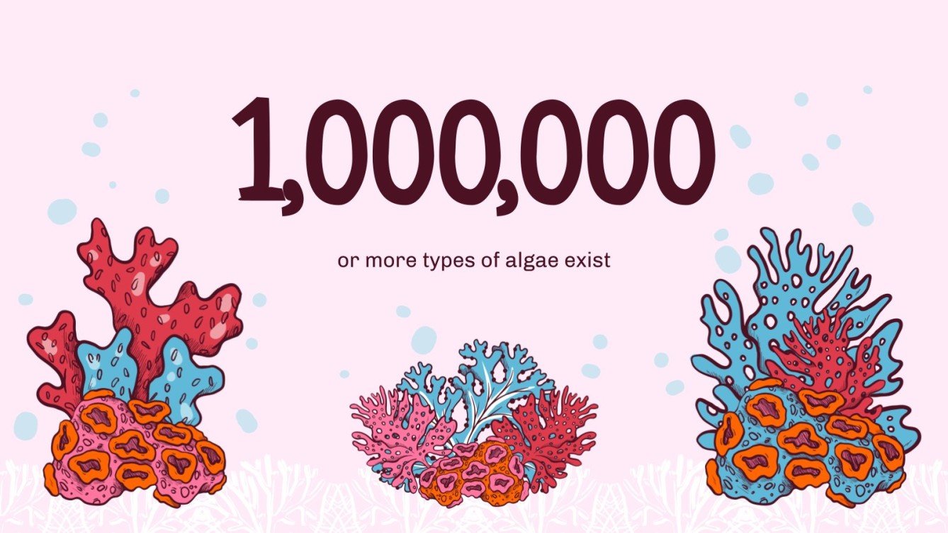 Aquatic Biomes Lesson for Elementary Google Slides & PPT