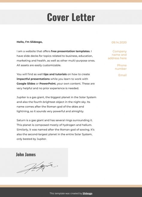 Businessman CV | Template for Google Slides & PowerPoint