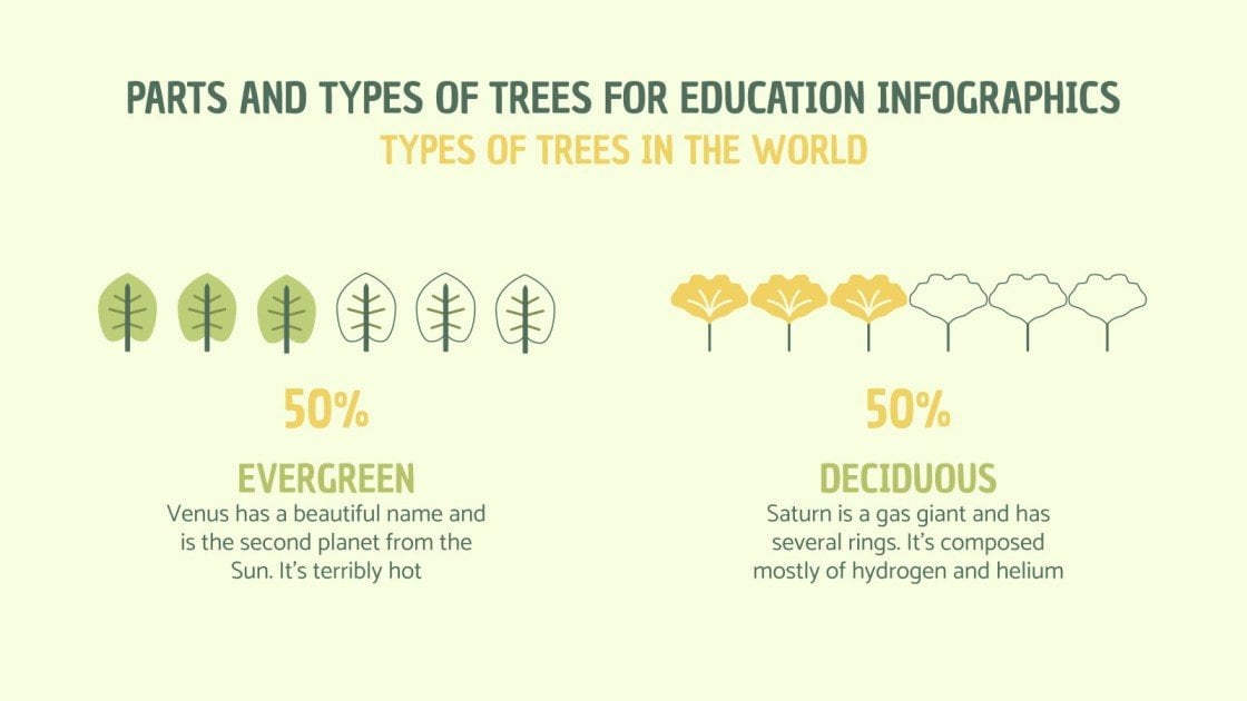 Parts & Types of Trees for Education Infographics