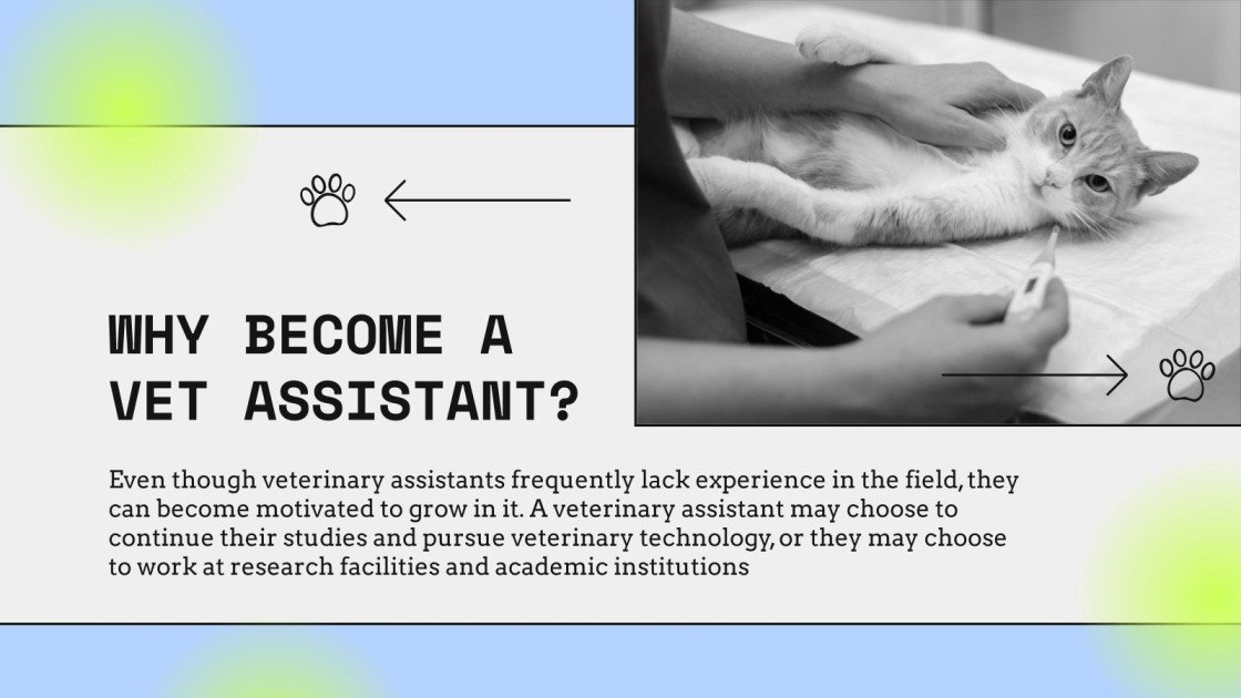 Major for College Veterinarian Assisting Google Slides
