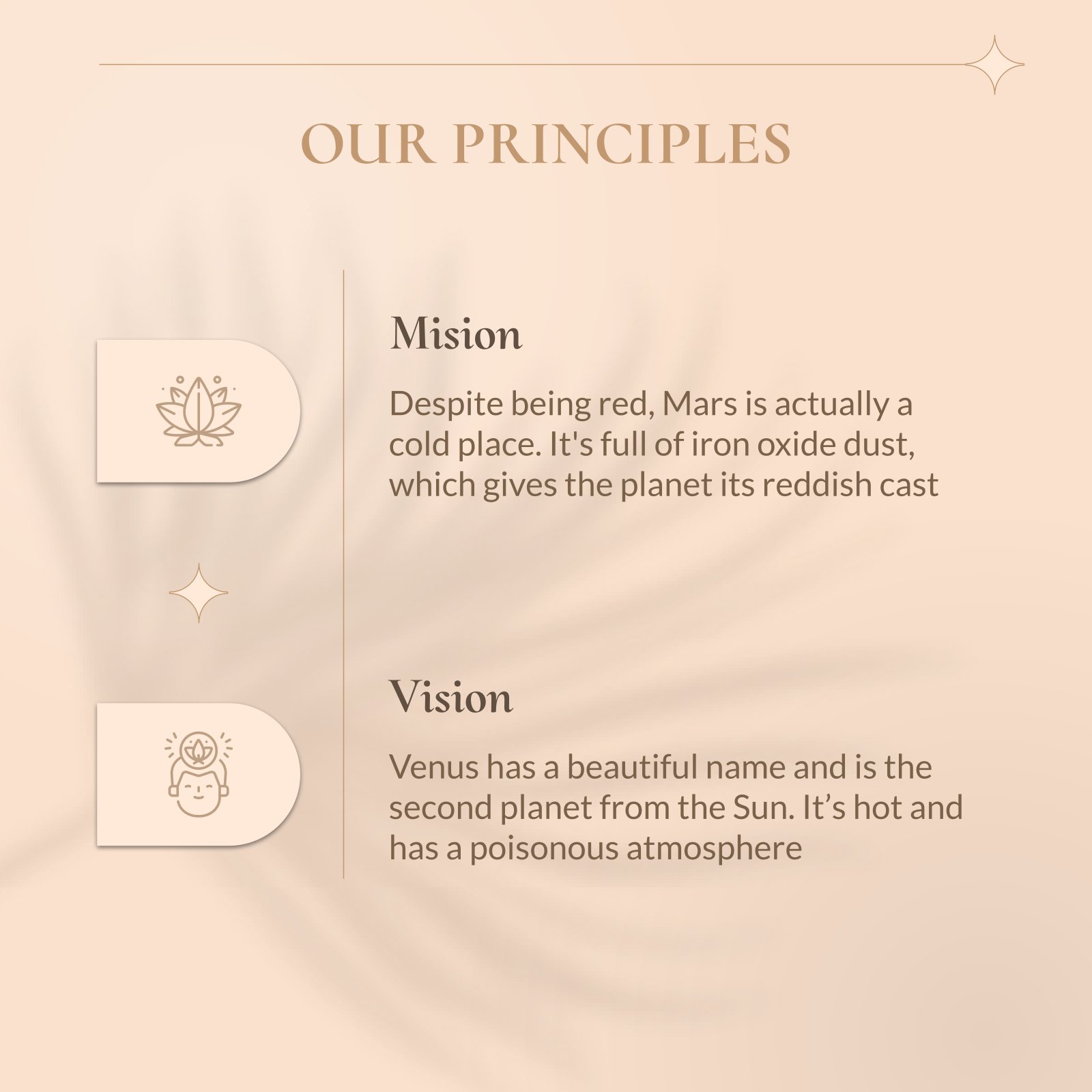 Minimalist Aesthetic IG Posts Google Slides & PPT