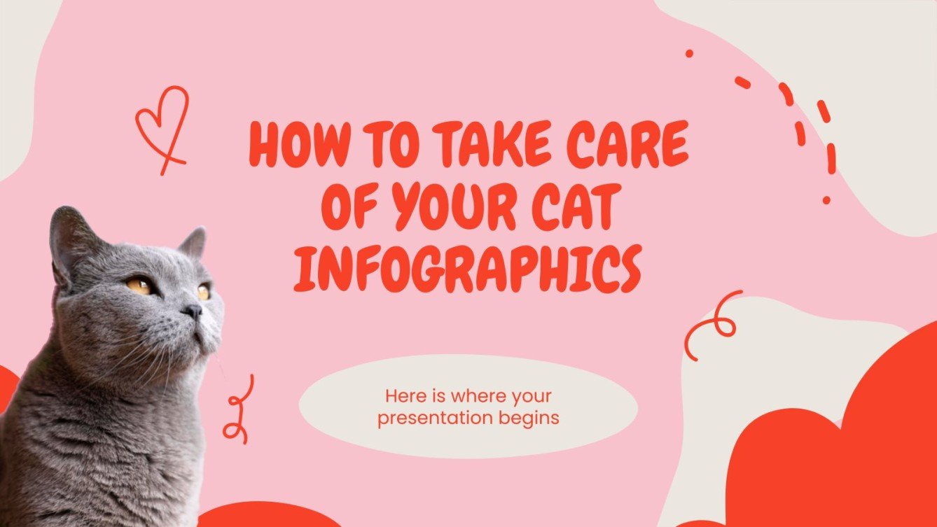 How to Take Care of Your Cat Infographics Google Slides