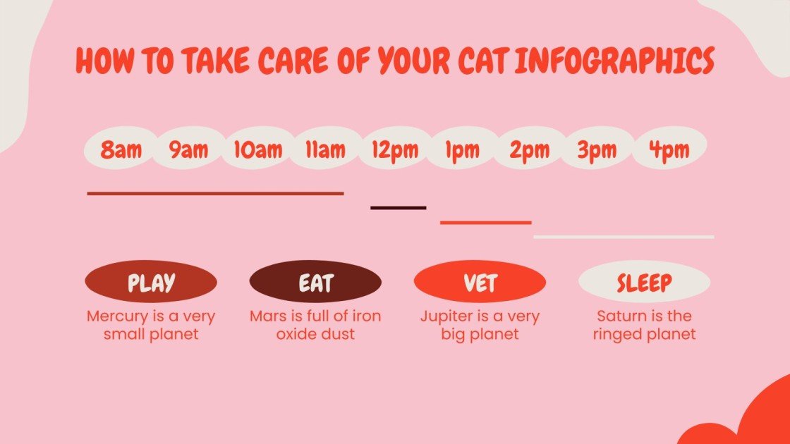 How to Take Care of Your Cat Infographics Google Slides