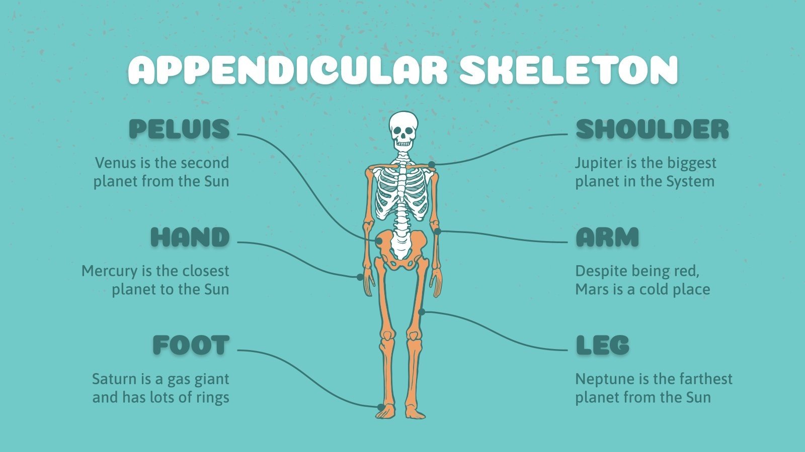anatomy-lesson-for-middle-school-google-slides-ppt