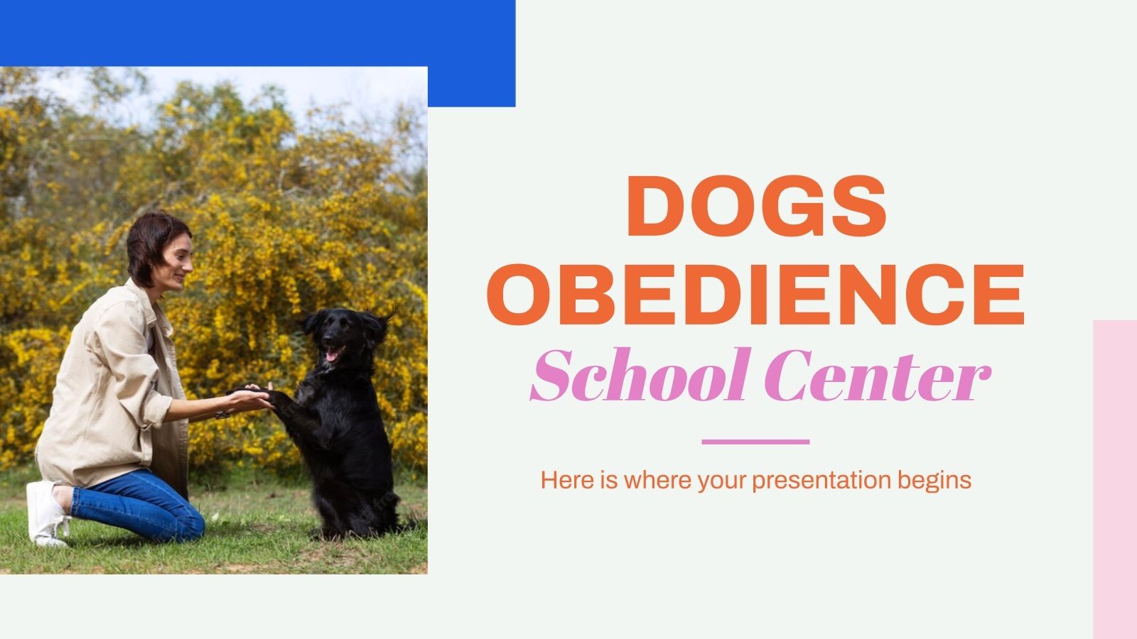 Dogs Obedience School Google Slides and PowerPoint