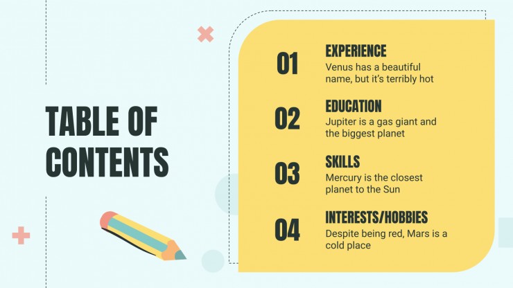 Cool Professor CV presentation template