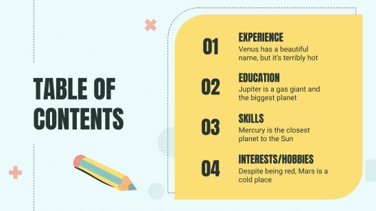 Cool Professor CV presentation template