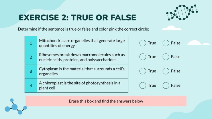 Science pour l'école : Biologie Modèles de présentation