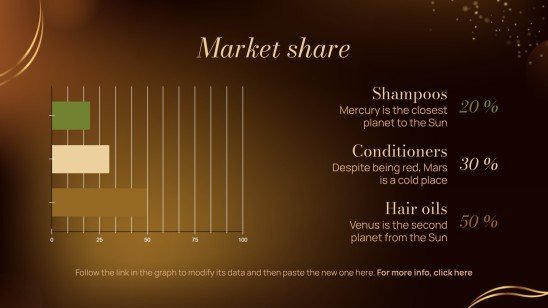 Hair Products Supplier Business Plan presentation template 