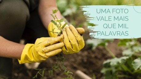 Plantilla de presentación Campaña de marketing en acuarela: naturaleza terrestre