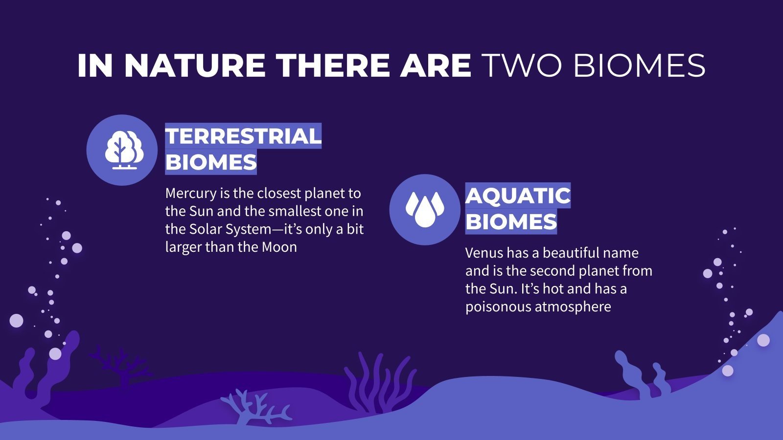 Aquatic Biomes Animals Activities for Elementary