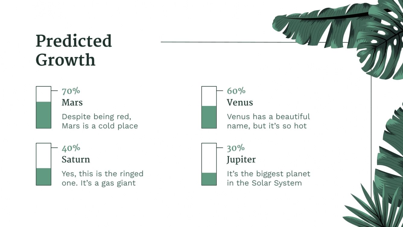 Business plan plateforme image
