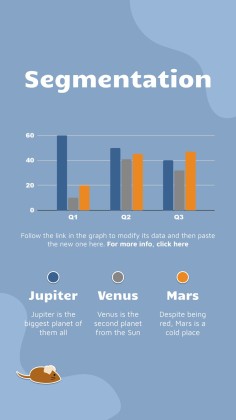 Instagram-Posts über Katzen für das Marketing Präsentationsvorlage