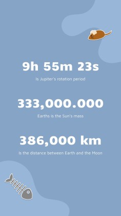 Instagram-Posts über Katzen für das Marketing Präsentationsvorlage