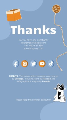 Instagram-Posts über Katzen für das Marketing Präsentationsvorlage