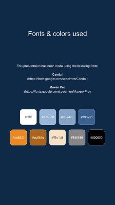 Instagram-Posts über Katzen für das Marketing Präsentationsvorlage