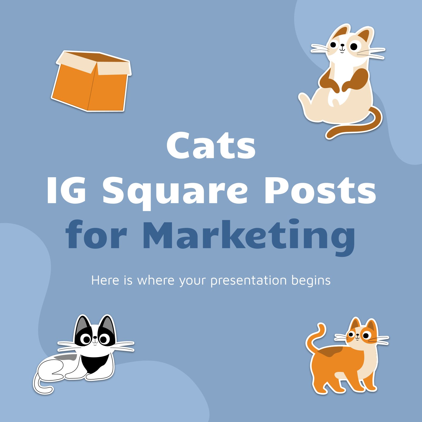 Cats IG Square Posts for Marketing presentation template 